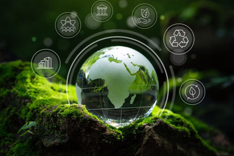 sustentabilidade e eco-friendly: tornando o seu alojamento local mais verde